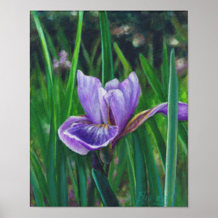 VildIris Poster