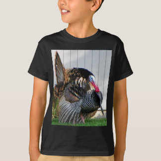 vildkalkon tee