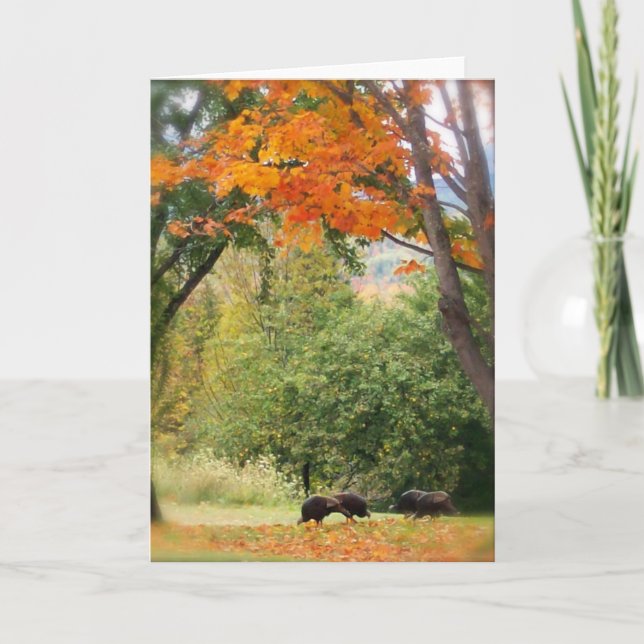 Vildkalkoner i Vermont Kort (Framsida)