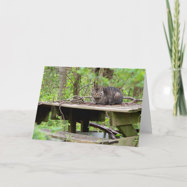 Vildkatt i skogen välkomstkort kort (Framsida)
