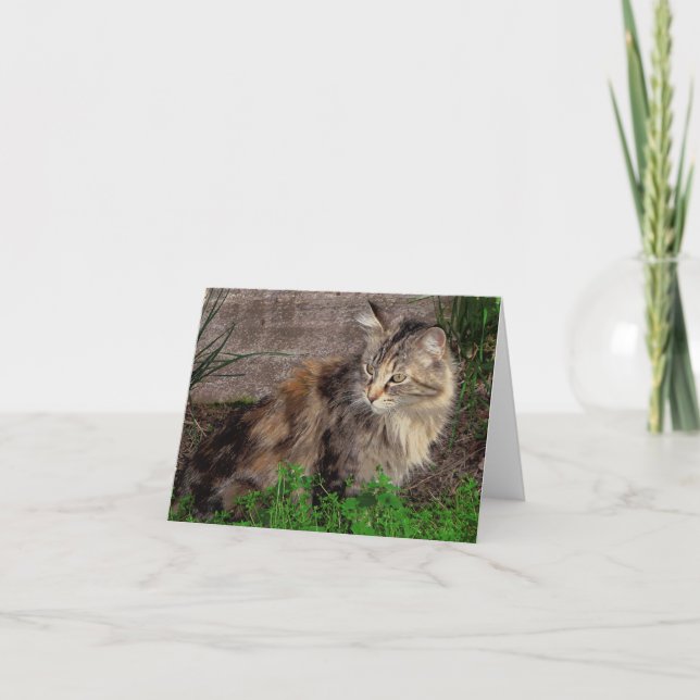 Vildkatt Porträtt Notkort Kort (Framsida)
