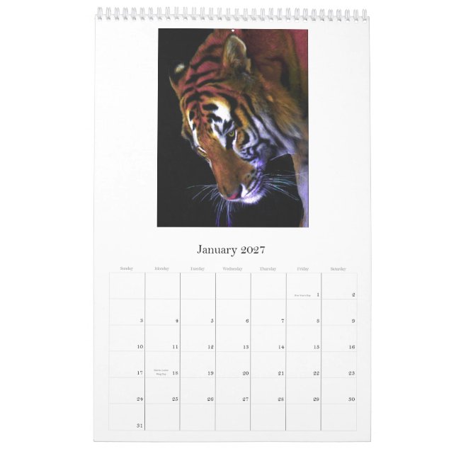 Vildkatt vild katt kalender (Jan 2027)