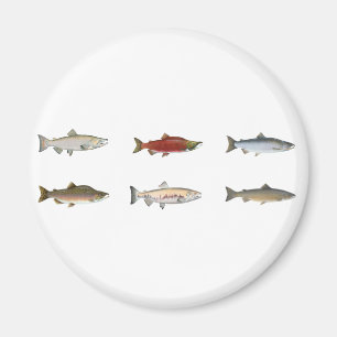 Vildlax Magnet
