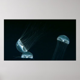 Vildlevande 133 poster