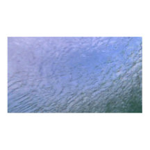 Vildlevande 139 poster