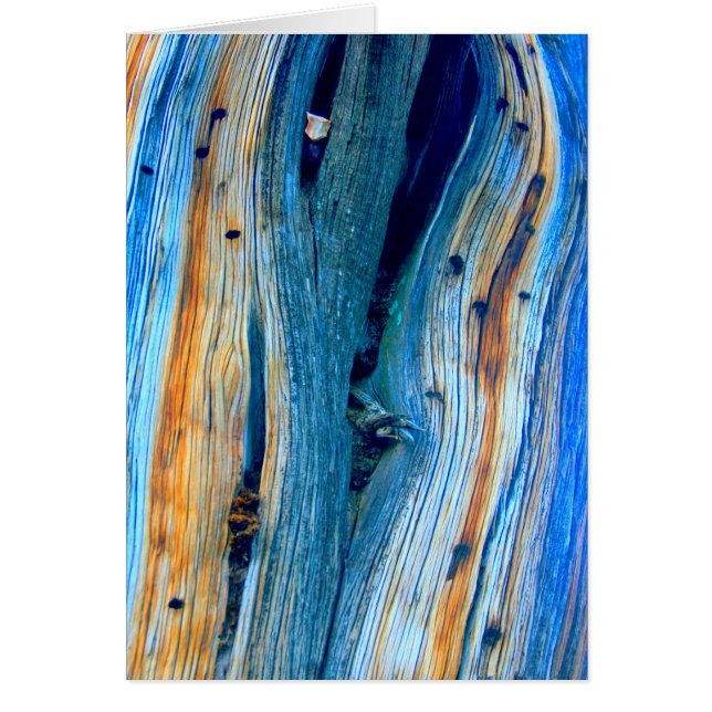 vildlevande blåspaltbord hälsningskort (Framsidan)