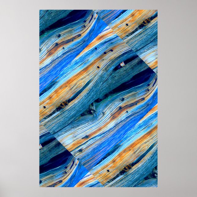 vildlevande blåspaltbord poster (Framsidan)