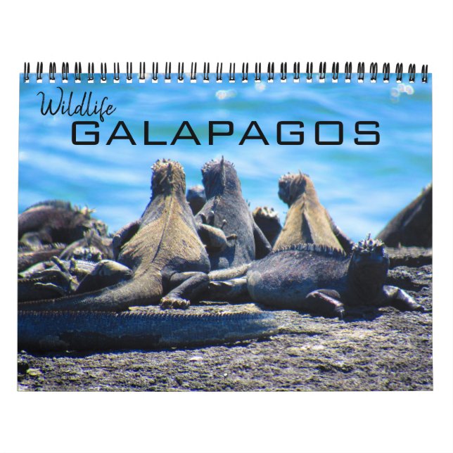 vildlevande galapagos 2025 kalender (Omslag)