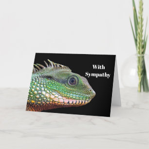 Vildlevande Iguana Fotosympati Kort