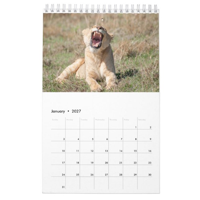 Vildlevande kalender 2021 (Jan 2027)