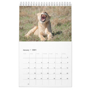 Vildlevande kalender 2021