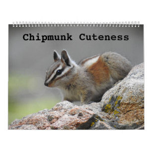 Vildlevande kalender, vilda djur, Chipmunk Cutenes Kalender