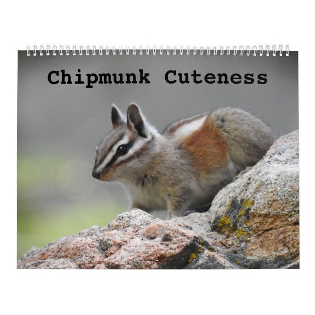 Vildlevande kalender, vilda djur, Chipmunk Cutenes Kalender (Omslag)