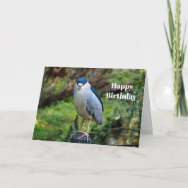 Vildlevande natt Heron Fotofödelsedag Kort