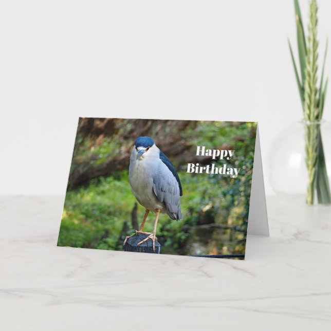 Vildlevande natt Heron Fotofödelsedag Kort (Framsida)