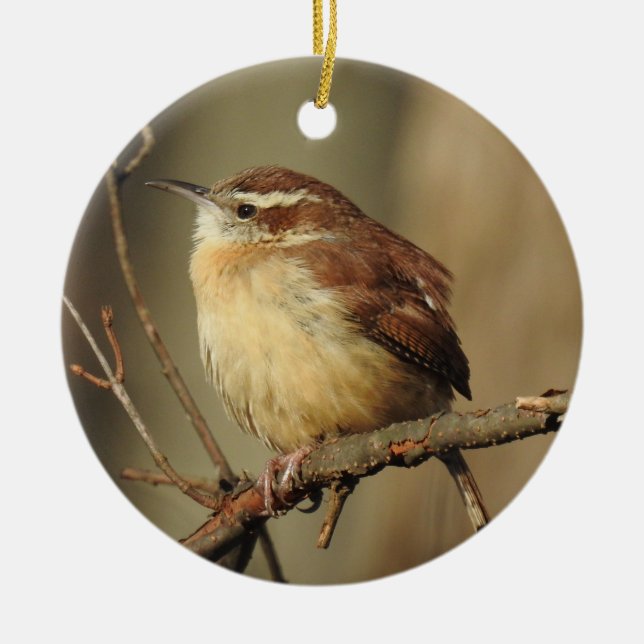 Vildlevande ornament, julgransprydnad keramik (Framsidan)