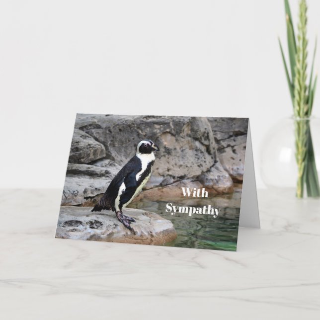 Vildlevande Penguin Fotosympati Kort (Framsida)