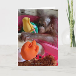 Vildlevande vita kort:Baby Orangutan Grabs Leksake Kort