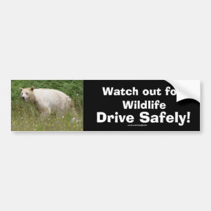 Vildlife Bears Animal-älskare Design Bildekal