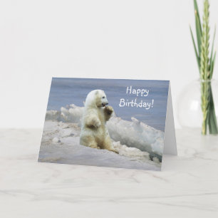 Vildlife Bears Animal-älskare Design Kort