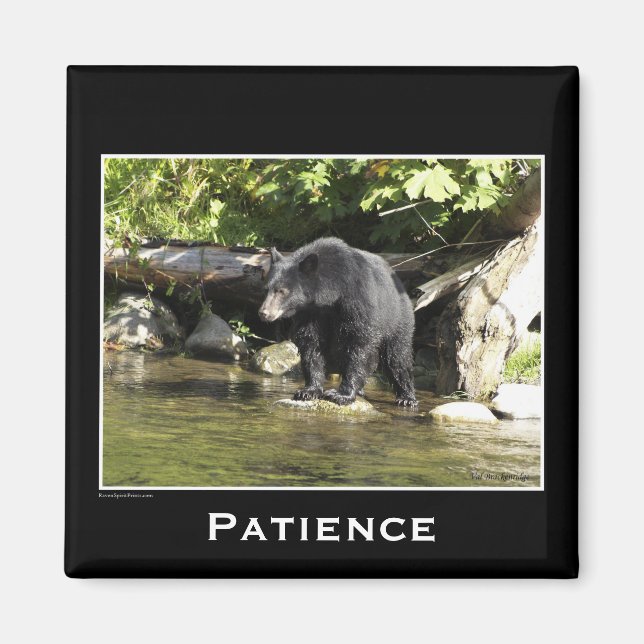 Vildlife Bears Animal-älskare Design Magnet (Framsidan)