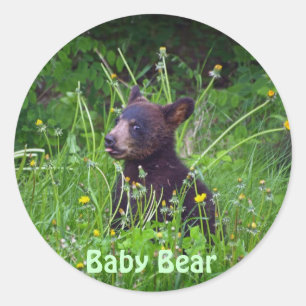 Vildlife Bears Animal-älskare Design Runt Klistermärke