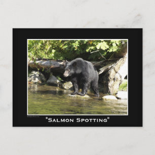 Vildlife Bears Animal-älskare Design Vykort