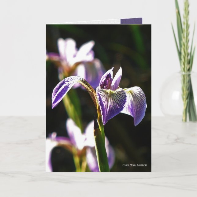 Vildlilor Kort (Framsida)