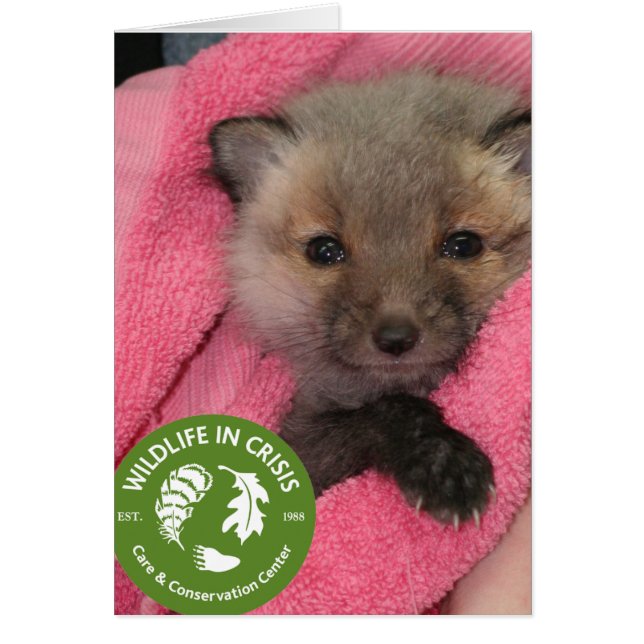 Vildlivet i kris hälsningskort (Framsidan)