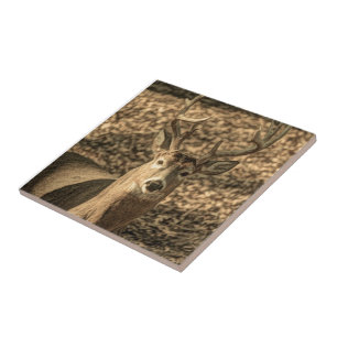 vildmark Camouflage fridluftsmänniska whitetail hj Kakelplatta