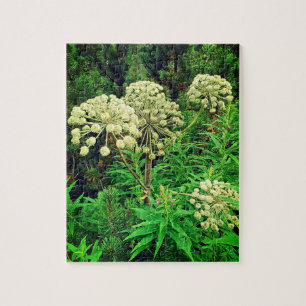 Vildmark, natur, plantor, fotopussel