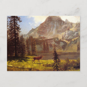 Vildmarkens anrop av Albert Bierstadt 1876–77 Vykort