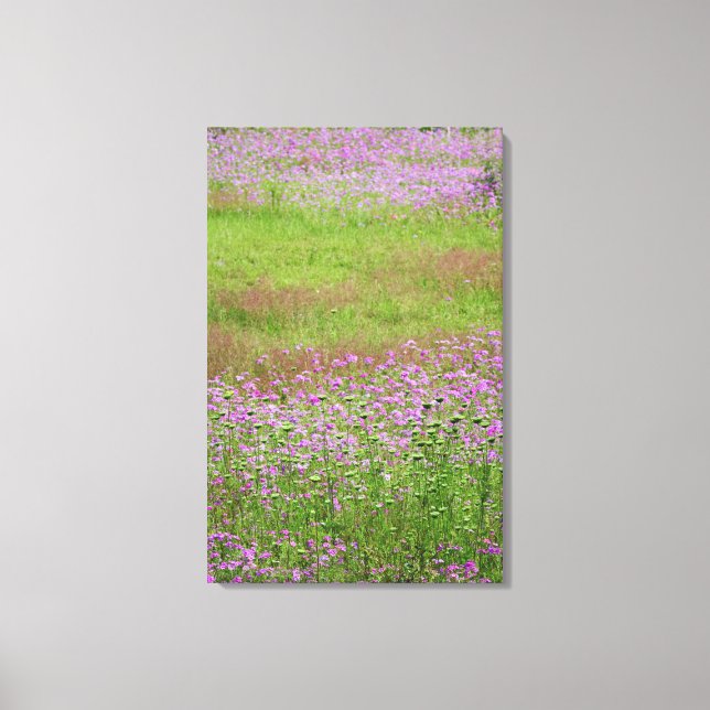 Vildmorot (Daucus carota) växer Canvastryck (Framsida)