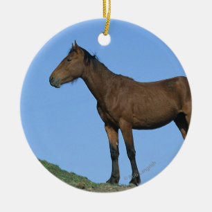 VildMustanghäst Julgransprydnad Keramik