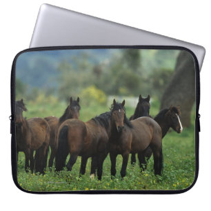 VildMustanghästar 3 Laptop Sleeve