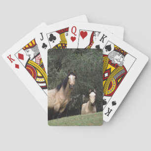 VildMustanghästar 6 Casinokort