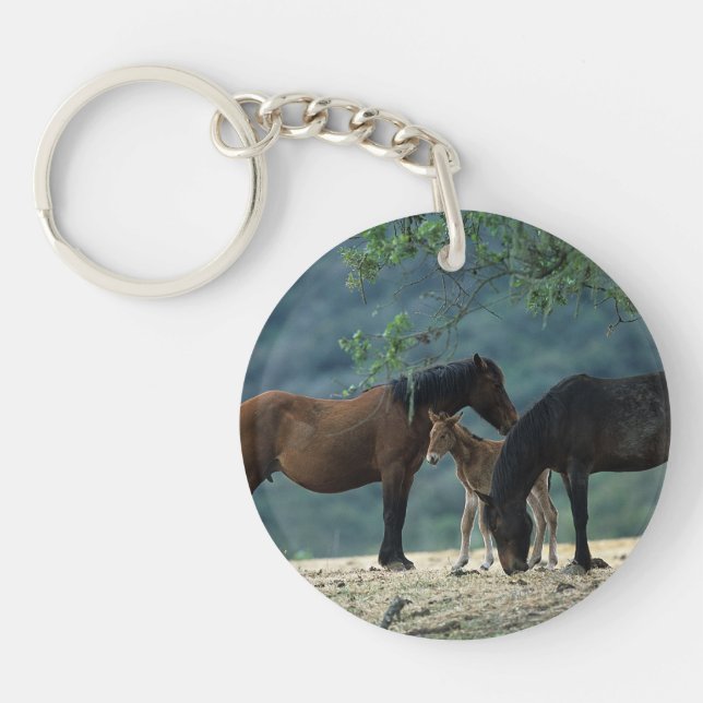 VildMustangMare & föl (Framsidan)
