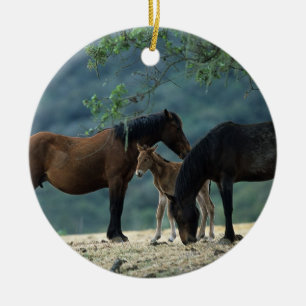 VildMustangMare & föl Julgransprydnad Keramik