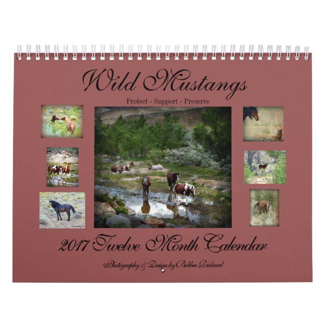 VildMustangs 2017 Kalender (Omslag)