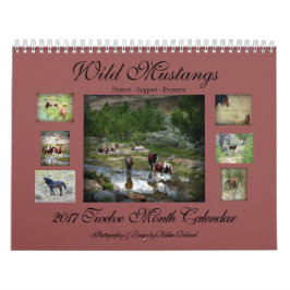 VildMustangs 2017 Kalender