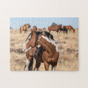 VildMustangs Pussel