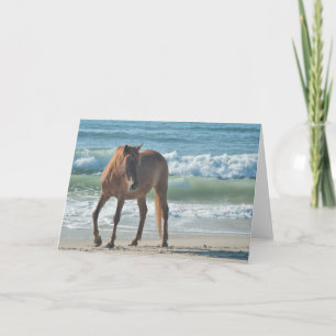 Vildöhästen av Assateague noterar kortet Kort