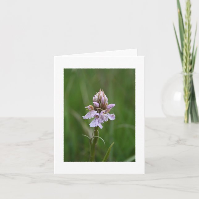 VildOrchid Notecard Kort (Framsida)