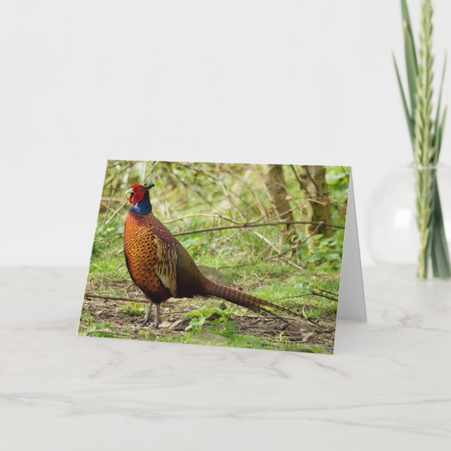 VildPheasant Kort (Framsida)