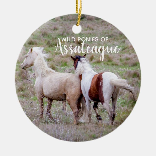 Vildponnyer av den Assateague julprydnaden Julgransprydnad Keramik (Framsidan)