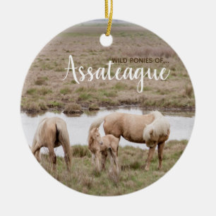 Vildponnyer av den Assateague prydnaden Julgransprydnad Keramik