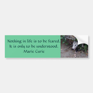 Vildpungråtta Bildekal