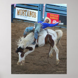 Vildritt - Reno Rodeo 2010 Poster