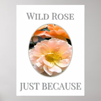 Vildros Blomma Poster
