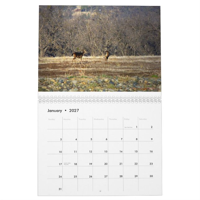 Vildsak 2014 kalender (Jan 2027)
